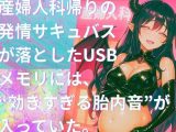 き、効くぅ〜〜〜！！！【特殊胎内回帰】産婦人科帰りの発情サキュバスが落としたUSBメモリには、‘効きすぎる胎内音’が入っていた。