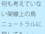 何も考えていない架線上の鳥  ニュートラルに戻しても・・