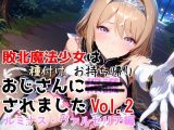 敗北魔法少女は種付けおじさんにお持ち帰りされました  vol.2  ルミナス・ヴァルセリア編